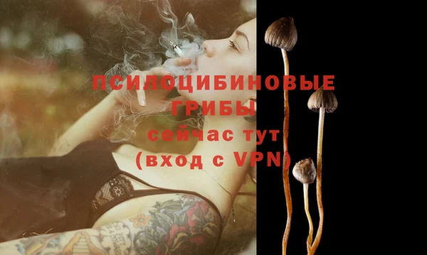ALPHA PVP Алексеевка