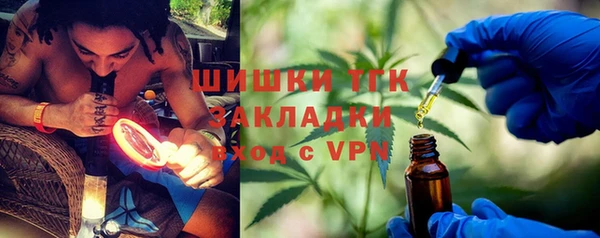 гашик Алзамай