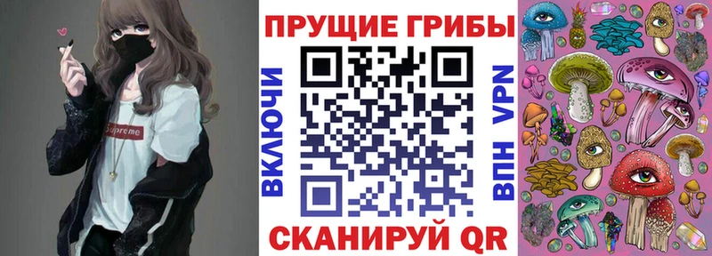 Галлюциногенные грибы прущие грибы  Хадыженск 
